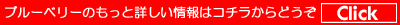 �u���[�x���[�̏ڂ������̓R�R���N���b�N